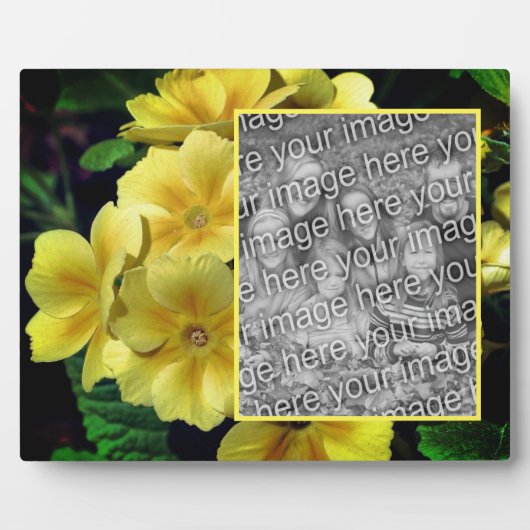Yellow Primrose Flowers Creëer Uw eigen foto Fotoplaat (Voorkant)