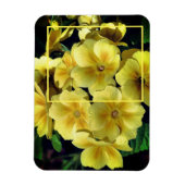 Yellow Primrose Flowers Creëer Uw eigen foto Magneet (Verticaal)