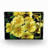 Yellow Primrose Flowers Creëer Uw Eigen Fotoblokken (Voorkant)