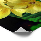 Yellow Primrose Flowers Uw foto toevoegen Poster (Hoek)
