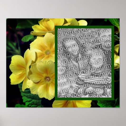 Yellow Primrose Flowers Uw foto toevoegen Poster (Voorkant)