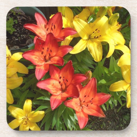 Yellow & Red Flower Lily Foto ontworpen Bier Onderzetter (Voorkant)