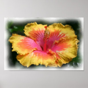Yellow Red Hibiscus flower Art Fotoschildering Poster