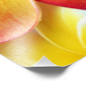 Yellow Red Plumeria Frangipani Hawaii Flowers Foto Afdruk (Hoek)