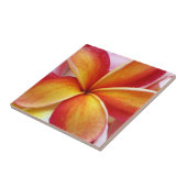 Yellow Red Plumeria Frangipani Hawaii Flowers Tegeltje (Zijkant)