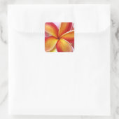 Yellow Red Plumeria Frangipani Hawaii Flowers Vierkante Sticker (Tas)