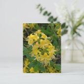 Yellow Rhododendron Azalea Flowers Briefkaart (Staand voorkant)