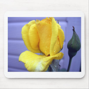 Yellow Rodebud Muismat