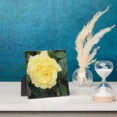 Yellow Roos Fotoplaat (Insitu)