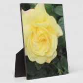 Yellow Roos Fotoplaat (Zijkant)