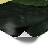 Yellow Roos Perfect Poster (Hoek)