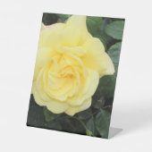 Yellow Roos Reclamebord Met Voetstuk (Voorkant)