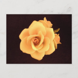 Yellow Rose 2004 Foto Briefkaart