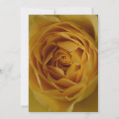 Yellow Rose 40e verjaardag uitnodiging (Achterkant)