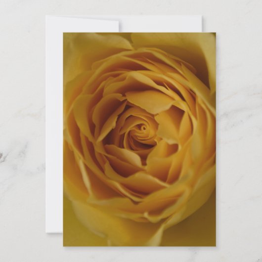 Yellow Rose 60e verjaardag uitnodiging (Achterkant)