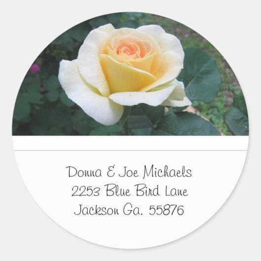 Yellow Rose Adres Stickers (Voorkant)