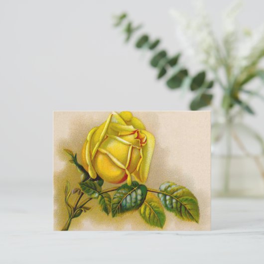 Yellow Rose Antiek  Print Fine Art Briefkaart (Staand voorkant)