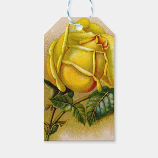 Yellow Rose Antiek Print Fine Art Cadeaulabel (Voorkant)