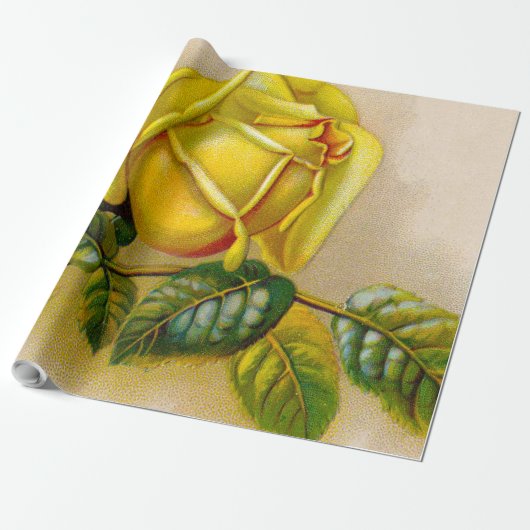 Yellow Rose Antiek  Print Fine Art Cadeaupapier (Uitgerold)