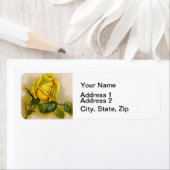 Yellow Rose Antiek  Print Fine Art Etiket (Insitu)