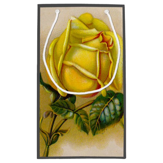 Yellow Rose Antiek Print Fine Art Klein Cadeauzakje (Achterkant)