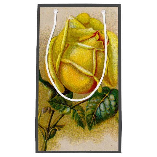 Yellow Rose Antiek Print Fine Art Klein Cadeauzakje (Voorkant)