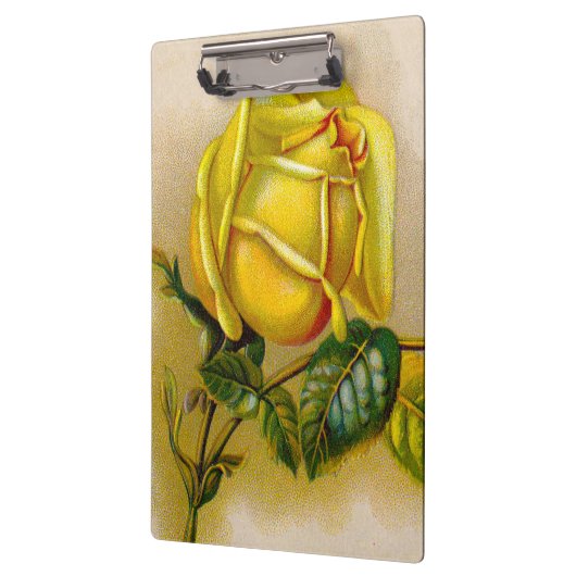 Yellow Rose Antiek  Print Fine Art Klembord (Links)