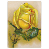 Yellow Rose Antiek  Print Fine Art Klembord (Achterkant)