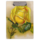 Yellow Rose Antiek  Print Fine Art Klembord (Voorkant)
