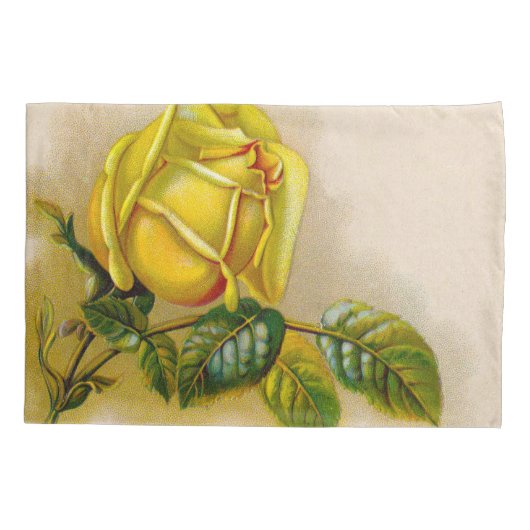 Yellow Rose Antiek Print Fine Art Kussensloop (Achterkant)