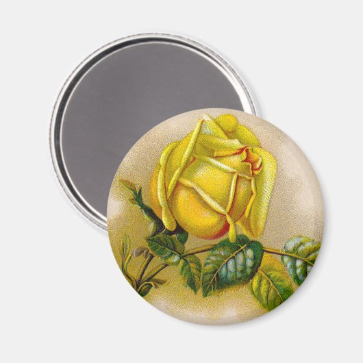 Yellow Rose Antiek Print Fine Art Magneet (Voorkant / Achterkant)