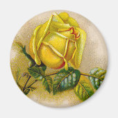 Yellow Rose Antiek Print Fine Art Magneet (Voorkant)