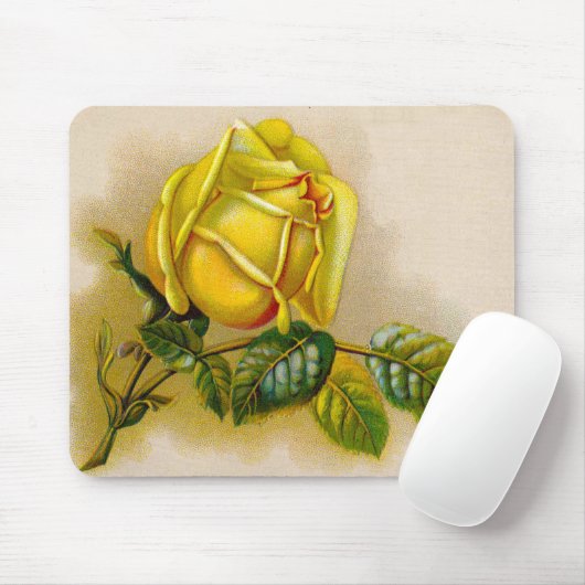 Yellow Rose Antiek Print Fine Art Muismat (Met muis)