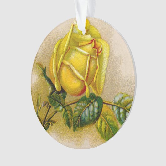 Yellow Rose Antiek Print Fine Art Ornament (voorkant)