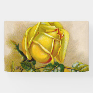 Yellow Rose Antiek  Print Fine Art Spandoek