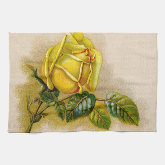 Yellow Rose Antiek  Print Fine Art Theedoek (Horizontaal)