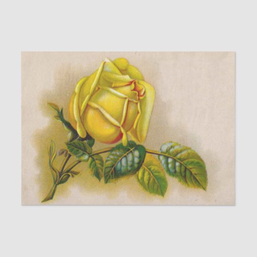 Yellow Rose Antiek  Print Fine Art Tissuepapier (Voorkant)