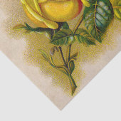 Yellow Rose Antiek  Print Fine Art Tissuepapier (Detail)