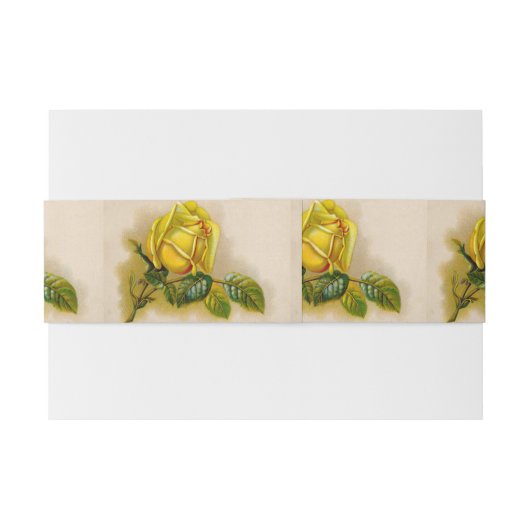 Yellow Rose Antiek Print Fine Art Uitnodigingen Wikkel (Achterkant Voorbeeld)