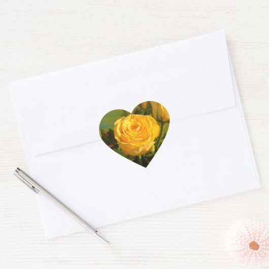 Yellow Rose Beauty Photography Hart Sticker (Envelop)
