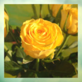 Yellow Rose Beauty Raamsticker (Vel 3)