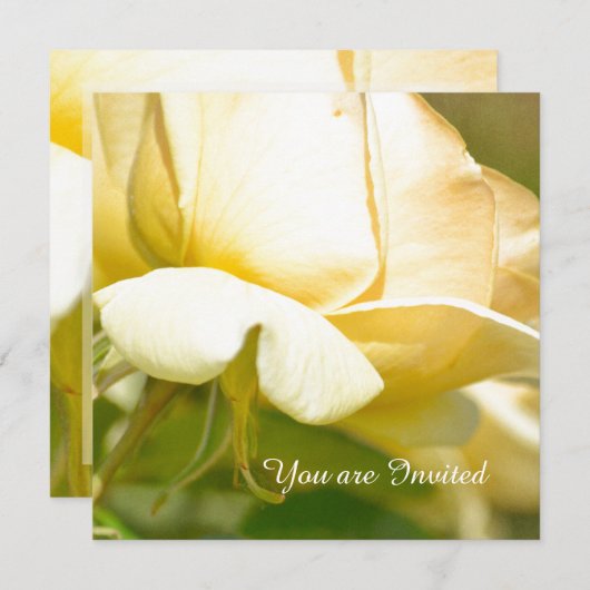 Yellow Rose Birthday Kaart (Voorkant / Achterkant)