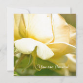 Yellow Rose Birthday Kaart (Voorkant)