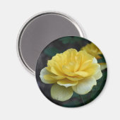 Yellow Rose Bloem Fotografie Magneet (Voorkant / Achterkant)