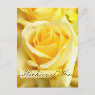 Yellow Rose_ Briefkaart
