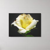 Yellow Rose Canvas (Voorkant)