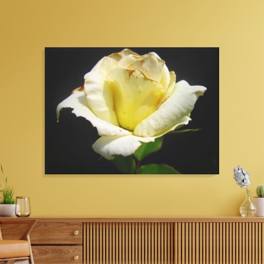 Yellow Rose Canvas (Insitu (Woonkamer))