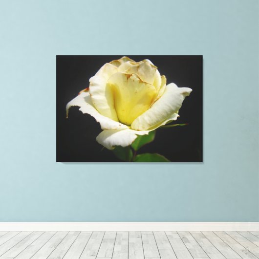 Yellow Rose Canvas (Insitu (Houten vloer))