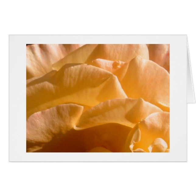 Yellow Rose Card (Voorkant Horizontaal)