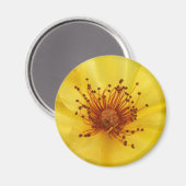 Yellow Rose Center Magnet (Voorkant / Achterkant)